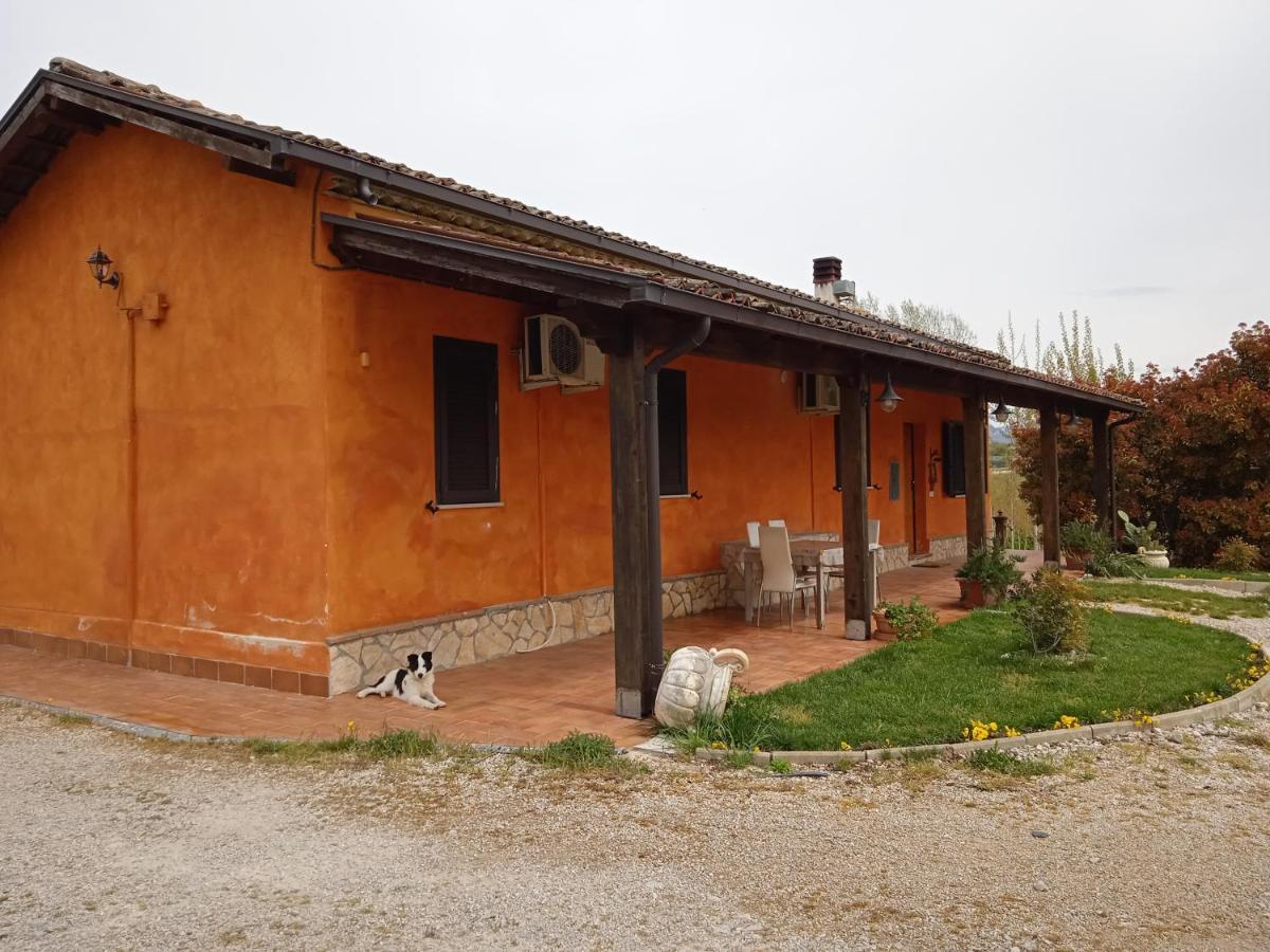 Il Girasole B&B Ceprano Exterior photo